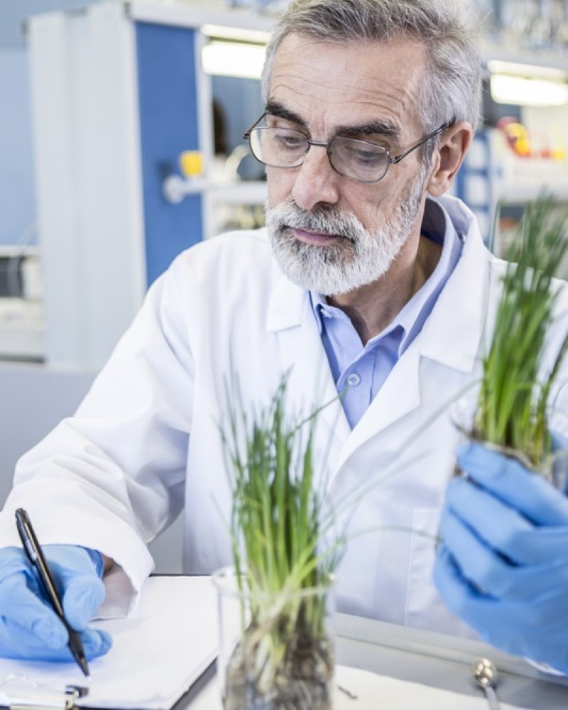 scientist-in-lab-examiming-plant-and-taking-notes-9MPY77P.jpg